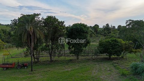 Image 2 - 920453