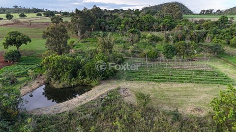 Image 7 - 920453