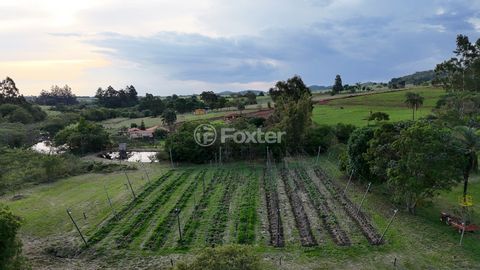 Image 4 - 920453