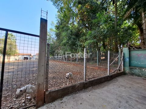 Image 11 - 920566