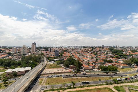 Image 11 - 920641