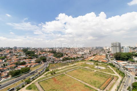 Image 12 - 920641
