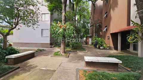 Image 19 - 920753