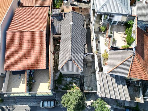 Image 7 - 921058