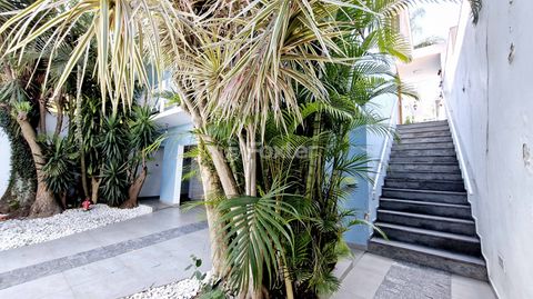 Image 7 - 921202
