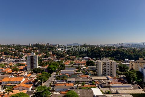 Image 8 - 921211