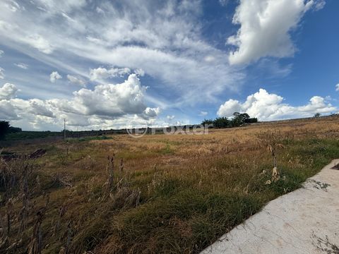 Image 11 - 921718