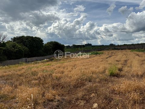 Image 4 - 921718