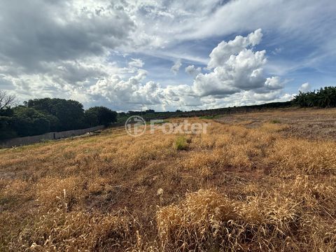 Image 3 - 921718