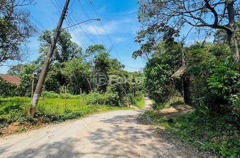 Image 6 - 921858
