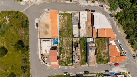 Image 7 - 922151