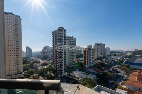 Image 15 - 922338