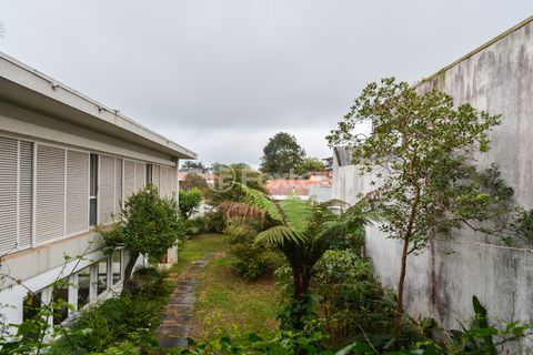 Image 6 - 922565