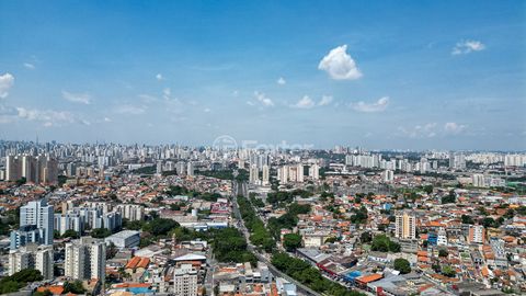 Image 13 - 922771