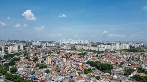 Image 14 - 922771