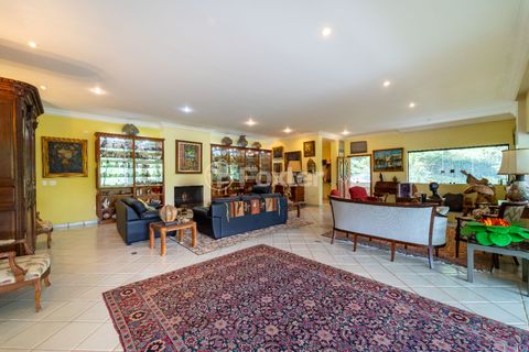 Image 17 - 922910