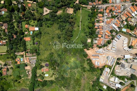 Image 11 - 922910