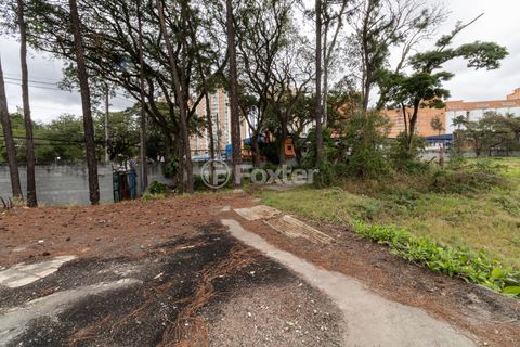 Image 8 - 922922