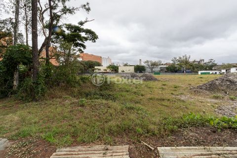 Image 4 - 922922