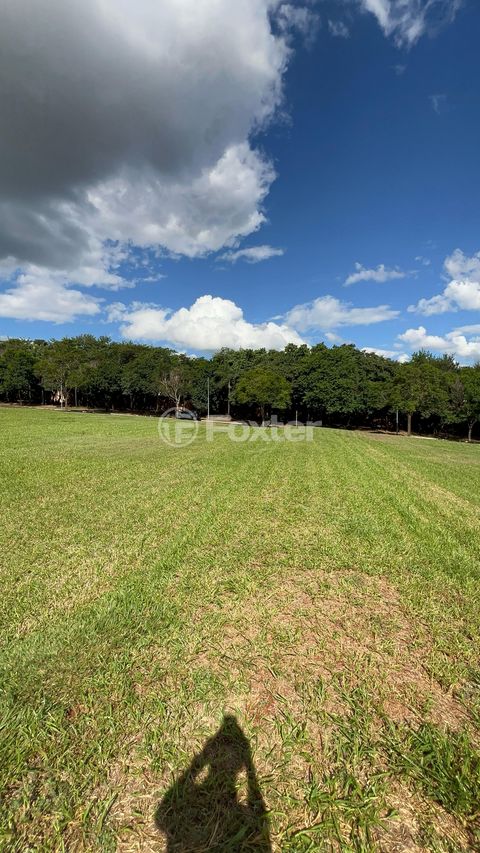 Image 7 - 922933