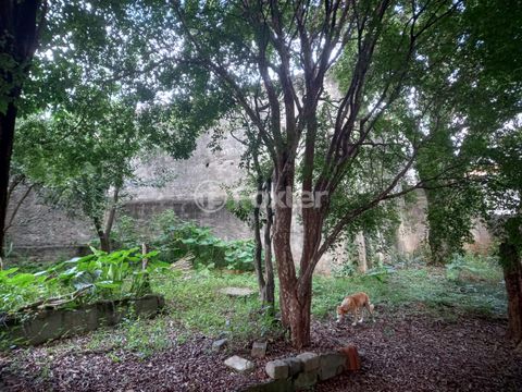 Image 6 - 922950