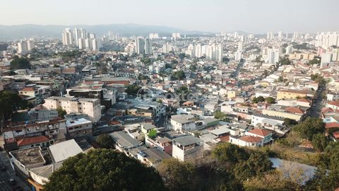Image 11 - 923179