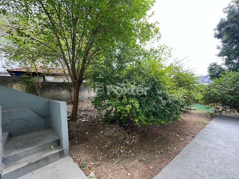 Image 6 - 923189