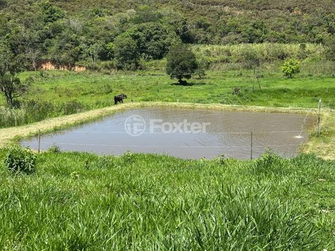 Image 6 - 923243