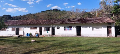 Image 15 - 923243