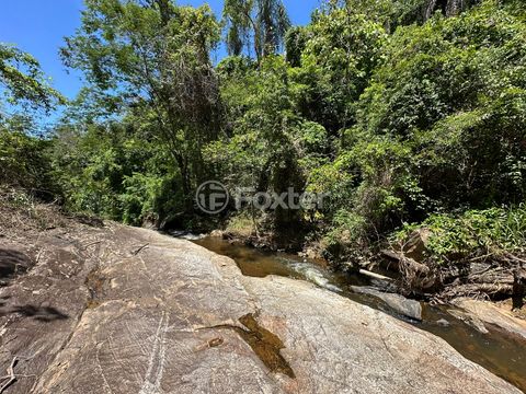 Image 17 - 923243