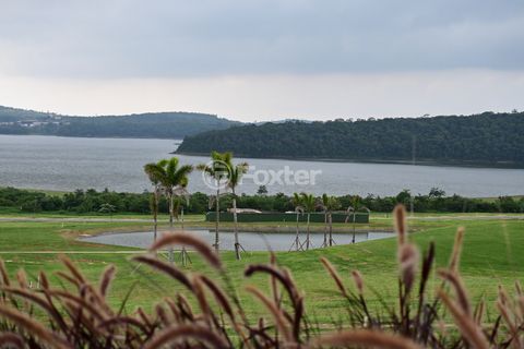 Image 7 - 923260