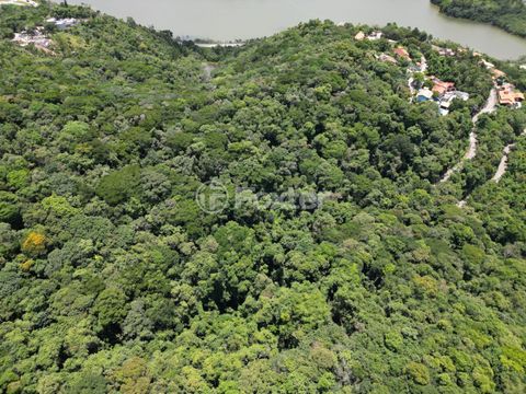 Image 14 - 923342