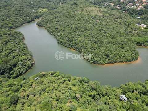 Image 17 - 923342