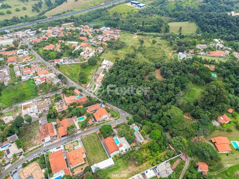 Image 10 - 923363