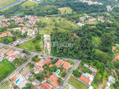 Image 9 - 923363