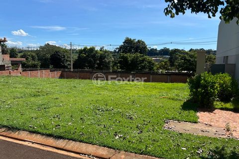 Image 6 - 923366