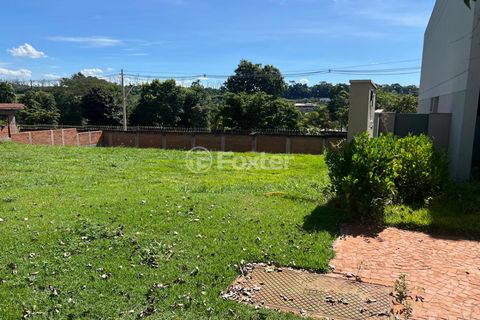 Image 7 - 923366