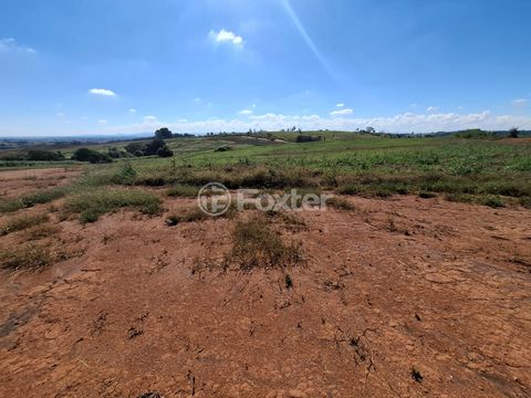 Image 4 - 923373
