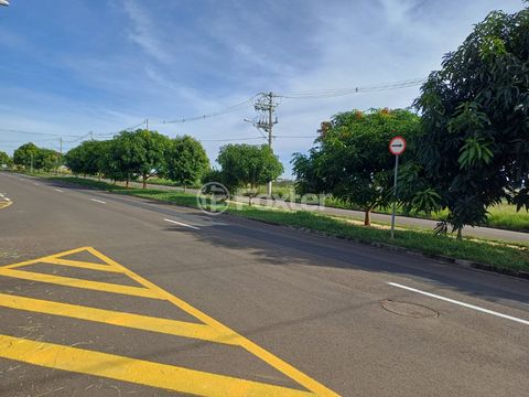 Image 8 - 923405