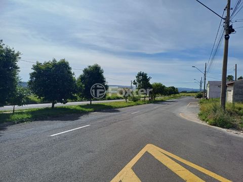 Image 7 - 923405