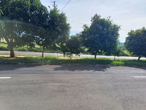 Image 6 - 923405