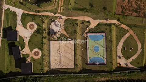 Image 18 - 923417