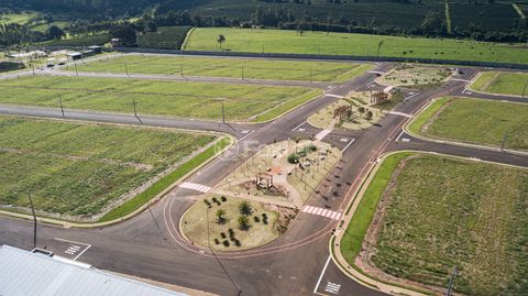 Image 16 - 923419