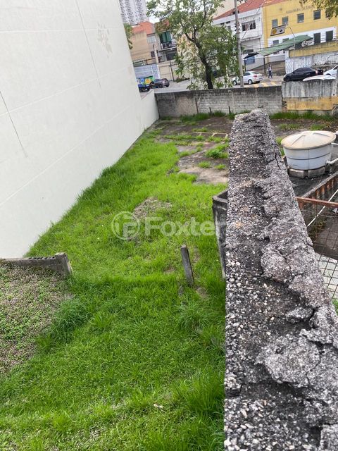 Image 11 - 923434