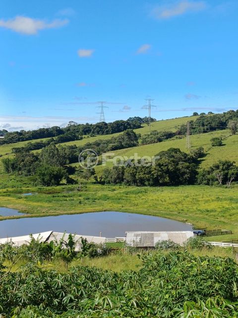 Image 4 - 923483