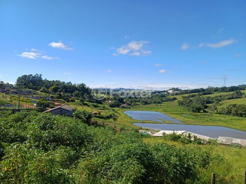 Image 3 - 923483