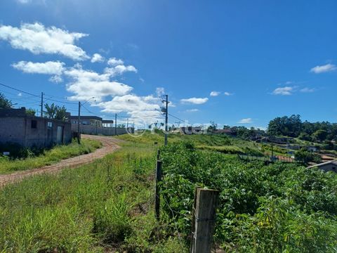 Image 2 - 923483