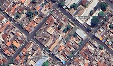 Image 9 - 923499