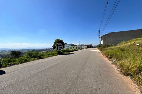 Image 7 - 923549