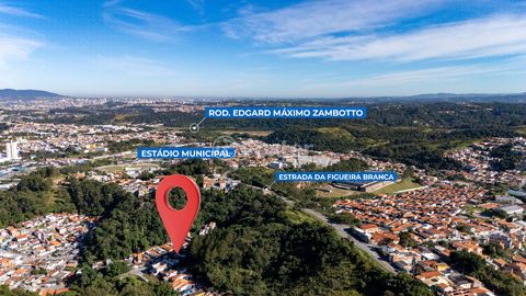 Image 15 - 923556